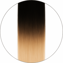 Balayage #1/6001, 50cm, 110g, Clip In Extensions