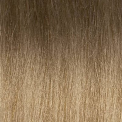 #8/18 Balayage (Farbmuster)