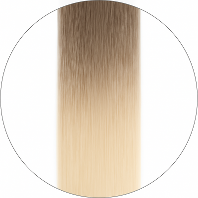 Long Lasting, #11/1001 Balayage, 50cm, 50g, Haartressen